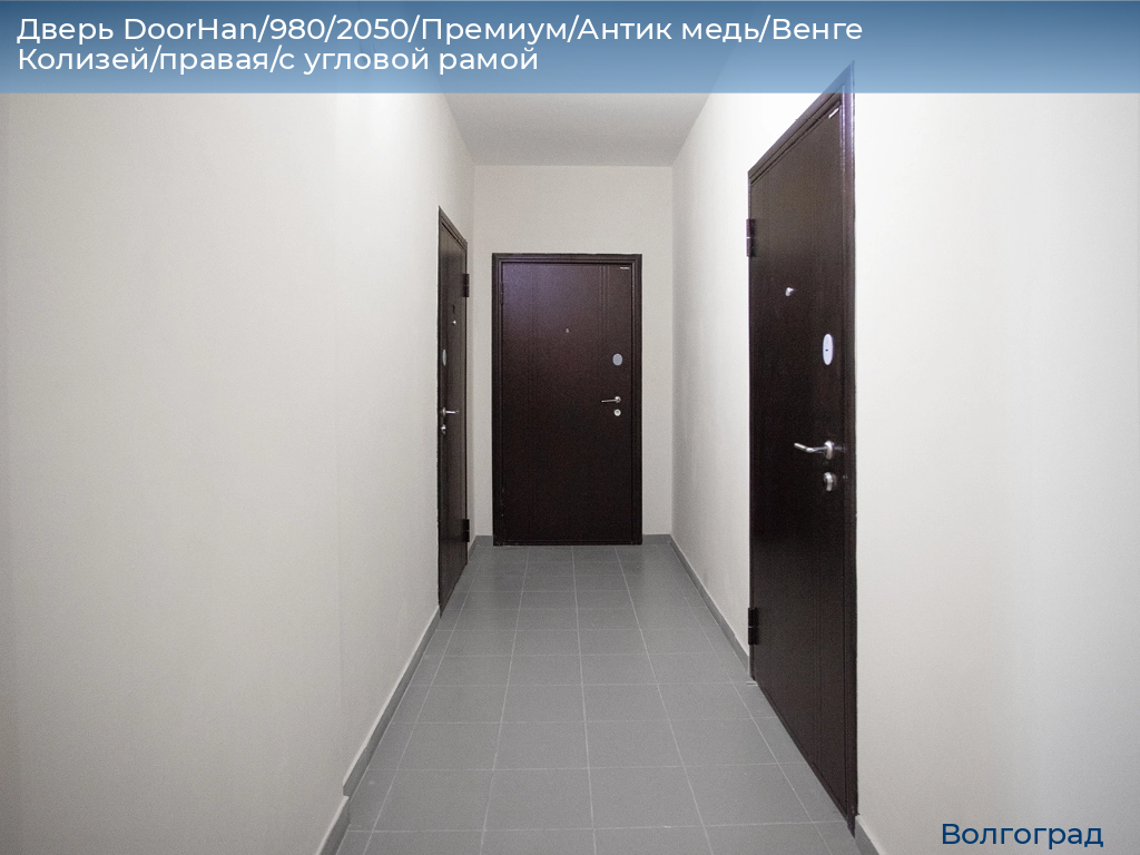 Дверь DoorHan/980/2050/Премиум/Антик медь/Венге Колизей/правая/с угловой рамой, volgograd.doorhan.ru