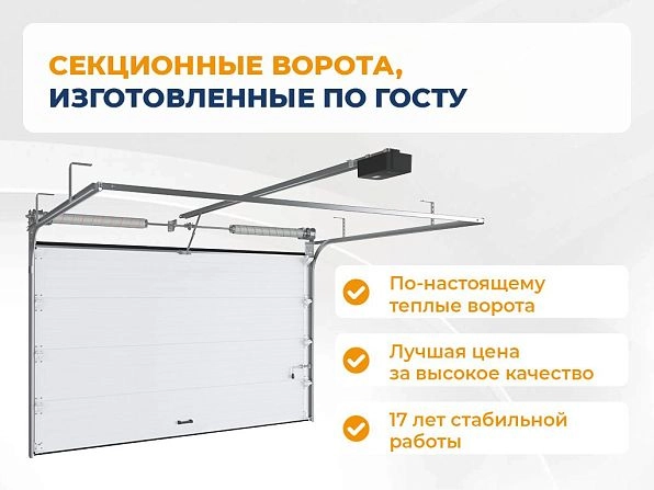 Cекционные ворота 2500х2050 мм белые DoorHan RSD02, volgograd.doorhan.ru